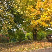 Осень в село Заворово :: Елена Семигина