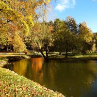 осень :: ИННА ПОРОХОВА