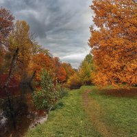 Елагин остров :: skijumper Иванов Елагин остров :: skijumper Иванов