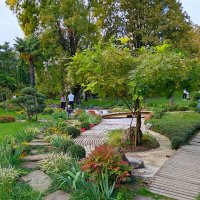 Японский сквер :: Tata Wolf