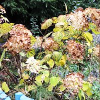 Возле подъезда. :: Василий Палий Возле подъезда. :: Василий Палий