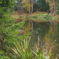 ***** :: юрий поляков ***** :: юрий поляков