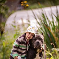 Верные друзья :: Алексей Копцев 