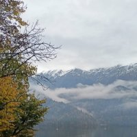 Осенняя мелодия :: Наталья Маркелова