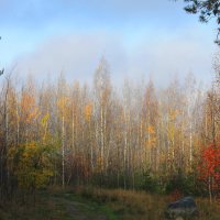 Прощание Золотой Осени :: Vadm Slutsky