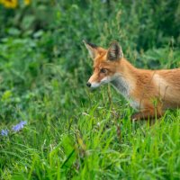 Встреча :: Владимир Иванович