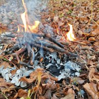 Костерок :: Денис Бочкарёв