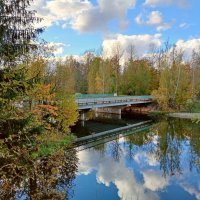 Мост через реку Оредеж. :: Лия ☼