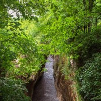 Хаджохская теснина. Адыгея. :: Дина Евсеева