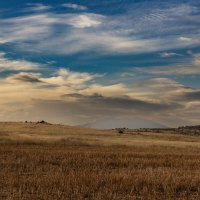 1 :: Movses Shahinyan