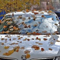 Осень хозяйничает! :: Валентина Нефёдова Осень хозяйничает! :: Валентина Нефёдова