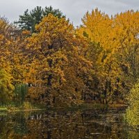 Золотая осень. :: Сергей Фомичев