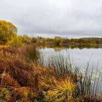 Озёрный берег. :: Милешкин Владимир Алексеевич 