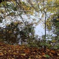 Осень, осень... :: Дмитрий И_ Осень, осень... :: Дмитрий И_