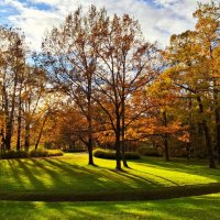 Осень улыбается :: Хватова Марина 