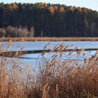 Замерзает озеро... :: Владилен Панченко