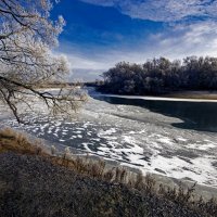Зима, Десна, декабрь :: Евгений 
