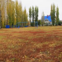 последняя декада октября :: Елена Шаламова последняя декада октября :: Елена Шаламова