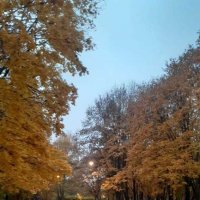 Осень в Коломенском :: Елена Семигина