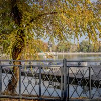 Самарская осень.. :: Евгений 