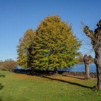 *** :: Геннадий Порохов