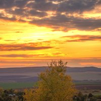 Золотой закат :: Наталья Димова Золотой закат :: Наталья Димова
