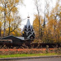 ***** :: юрий поляков