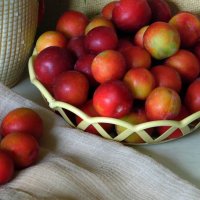 Дачный урожай. :: nadyasilyuk Вознюк