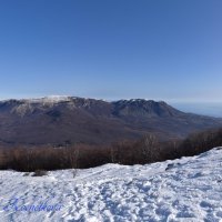 Природа Крыма :: Amazing Cosmea