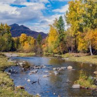 **** :: Алексей Мезенцев **** :: Алексей Мезенцев