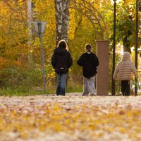 В парке. :: Андрей Андрианов В парке. :: Андрей Андрианов