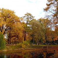 Осень :: Николай 