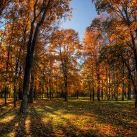 *** :: Сергей Григорьев