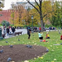 Китайцы в Александровском саду :: Валерий Судачок