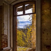 Осенний день :: Наталья Rosenwasser