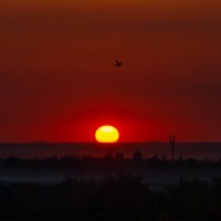 Закат в июле :: Руслан Веселов Закат в июле :: Руслан Веселов