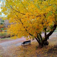 Скамейка в осеннем интерьере :: Надежда Скамейка в осеннем интерьере :: Надежда