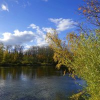 За окном меняет краски время - Не обмануть и не остановить.. :: Галина 