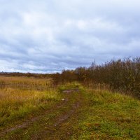 Дорога :: Сергей Зонов