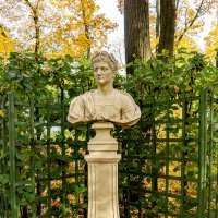 В осеннем Летнем саду :: Ирина Соловьёва