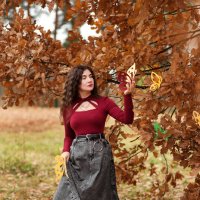 Осенние бабочки :: Анна Ермоленко