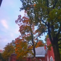 Рассвет :: Сапсан 