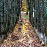 Осенний парк.... :: Aquarius - Сергей Осенний парк.... :: Aquarius - Сергей