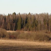 поле :: fogmeadowww m