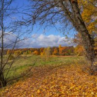 Октябрь в Царицыно... :: Владимир Жданов Октябрь в Царицыно... :: Владимир Жданов