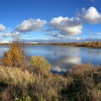 Последние дни золотой осени :: Galina Последние дни золотой осени :: Galina