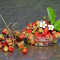 Клубничка. :: nadyasilyuk Вознюк