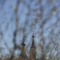 *** :: Елена Агеева