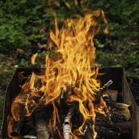 Мангал :: Игорь Сикорский