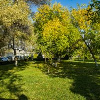 Наша осень :: Анатолий Чикчирный